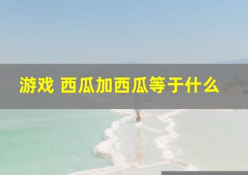 游戏 西瓜加西瓜等于什么